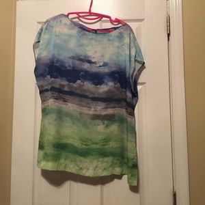 Liz Claiborne pet XL shirt as pretty as a picture