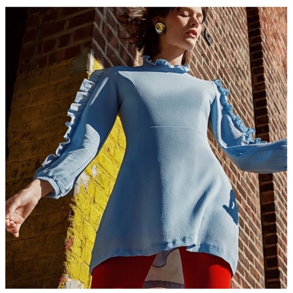 ‼️LAST CALL PRICE FIRM Ruffle Sleeve Dress - Picture 2 of 8