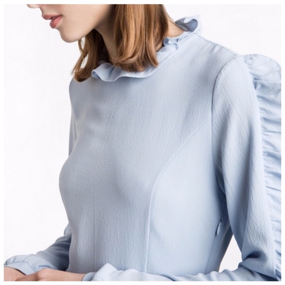 ‼️LAST CALL PRICE FIRM Ruffle Sleeve Dress - Picture 6 of 8