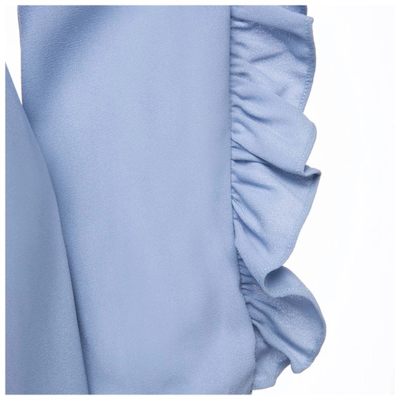 ‼️LAST CALL PRICE FIRM Ruffle Sleeve Dress - Picture 8 of 8