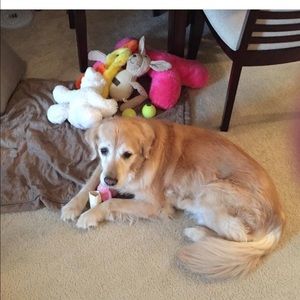 Meet your Posher, Patricia