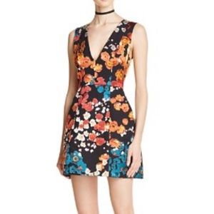 Alice + Olivia Patty dress