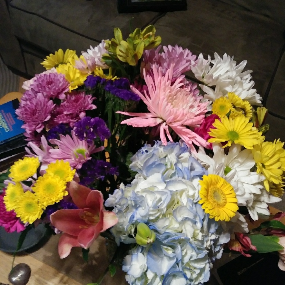 Meet your Posher, Cindy