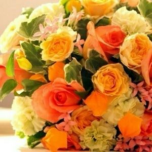 Meet your Posher, Balla