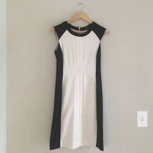 Black White Sheath Dress (Banana Republic)