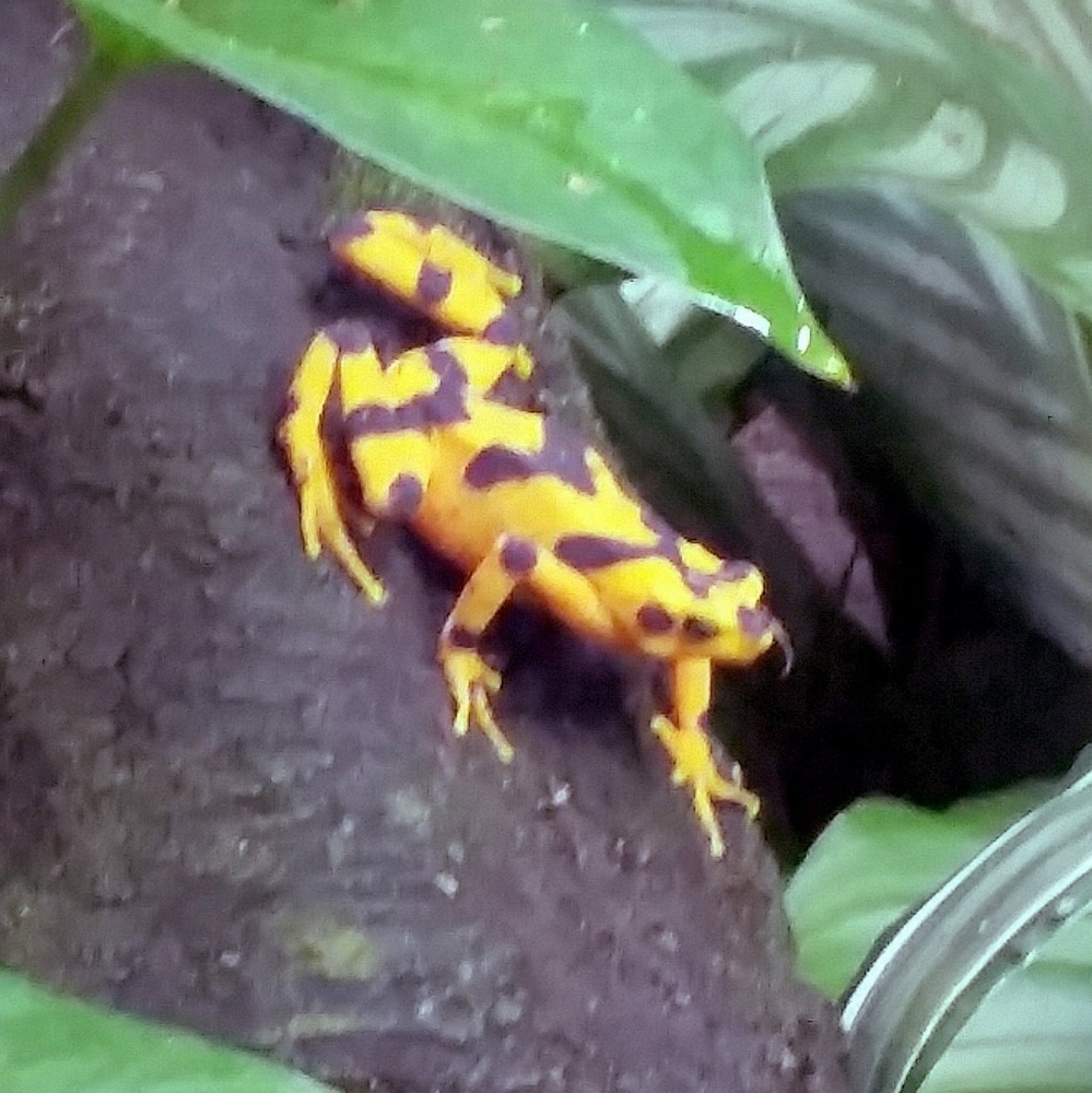 Meet your Posher, Brooke