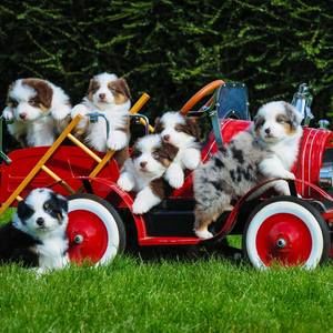 Meet your Posher, Anne emilie