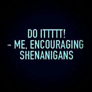 Meet your Posher, Janelle