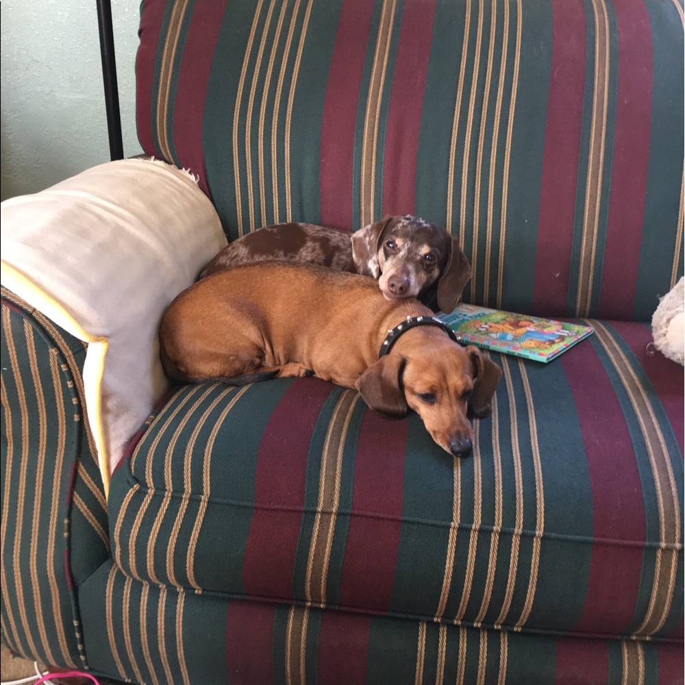 Meet your Posher, Linda