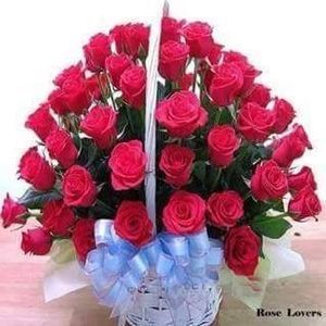 Meet your Posher, Isabel