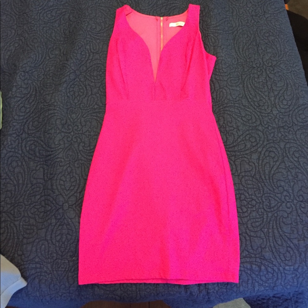 Pink Dress
