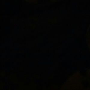 Meet your Posher, Lupe