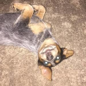 Meet your Posher, Valorie