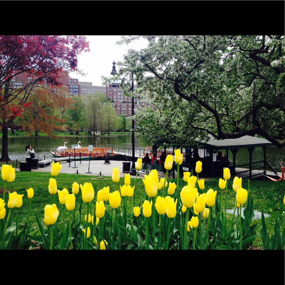 Meet your Posher, Anna