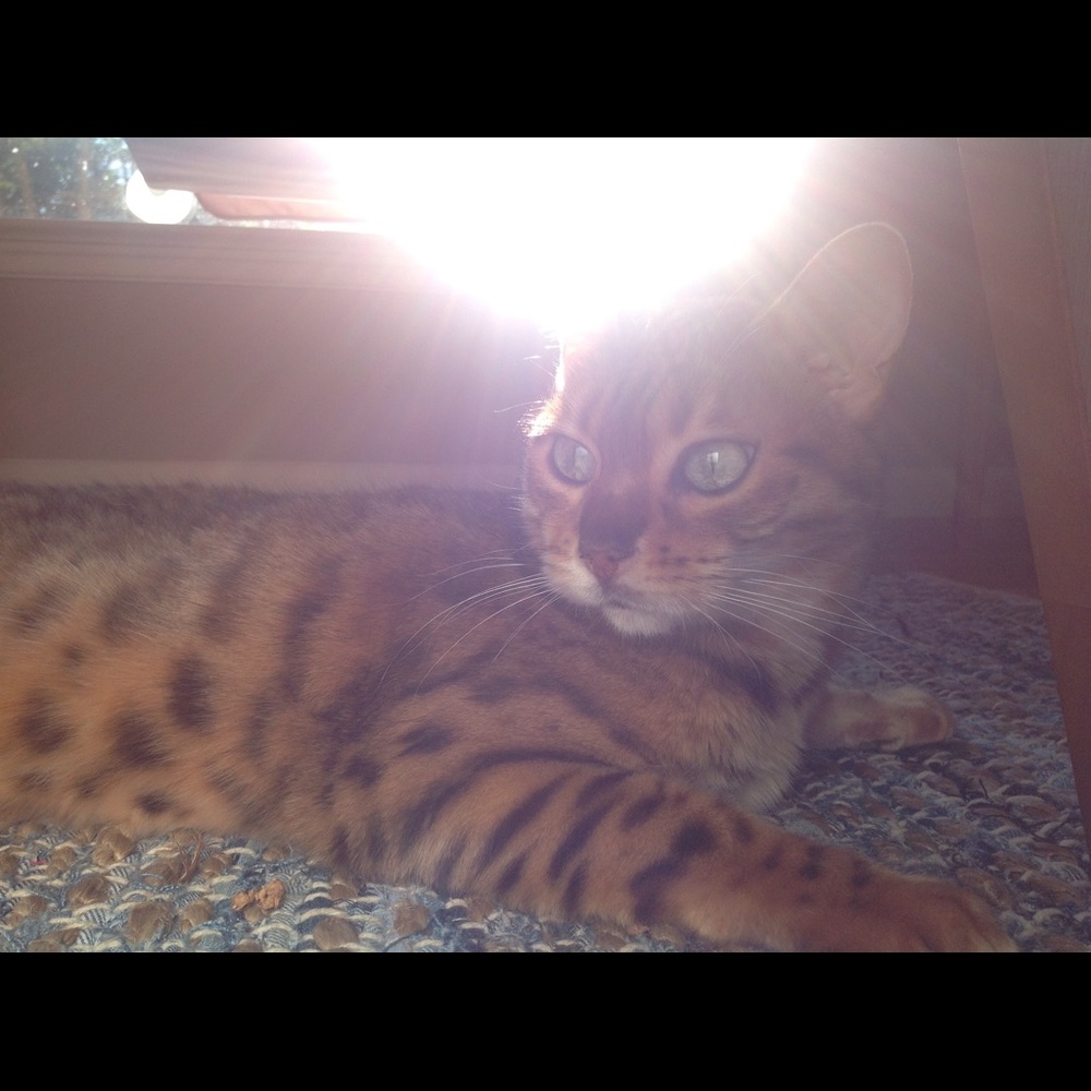 Meet your posher Janice