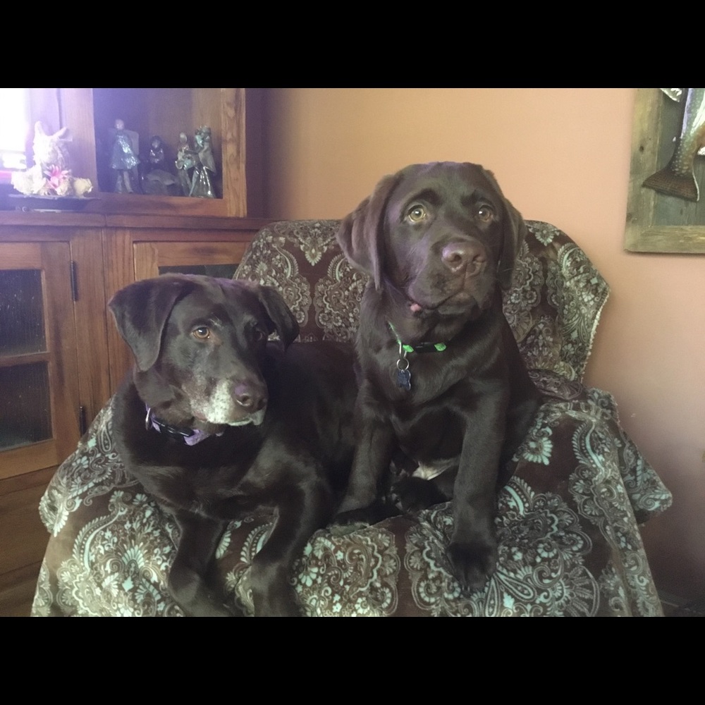 Meet your Posher, Leah