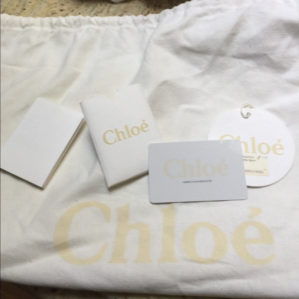 Gorgeous Chloe Bag! - Picture 6 of 8