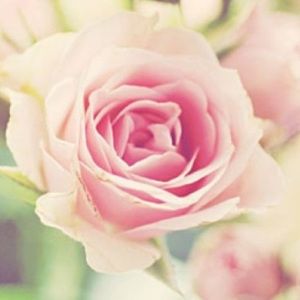 Meet your Posher, Dana