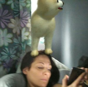 Meet your Posher, Brooke