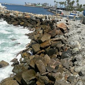 Meet your Posher, Lilly