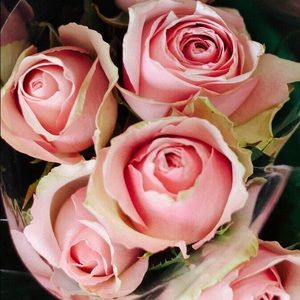 Meet your Posher, Cipatli