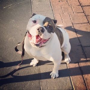 Meet your Posher, Jessica