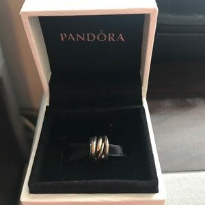 Everlasting pandora charm