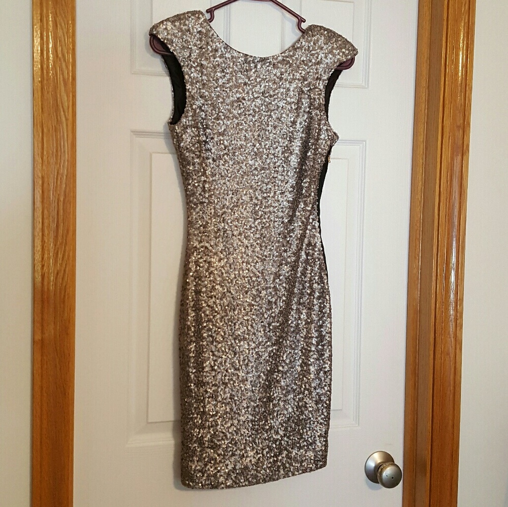 Hot Sequin Dress