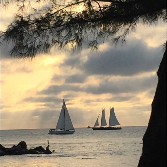 Meet your Posher, Laura - Picture 1 of 1