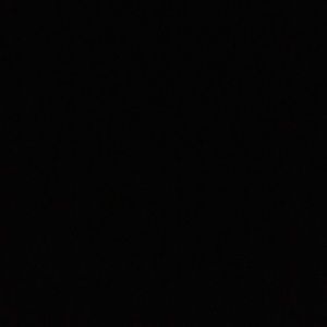 Meet your Posher, Will