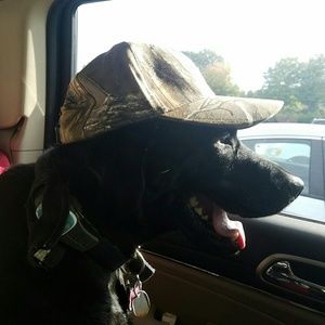 Meet your Posher, Barbara