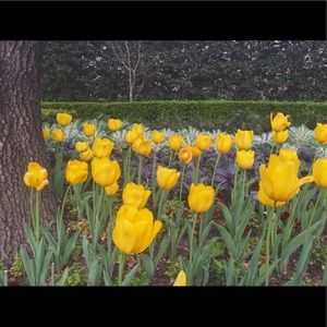 Meet your Posher, H.