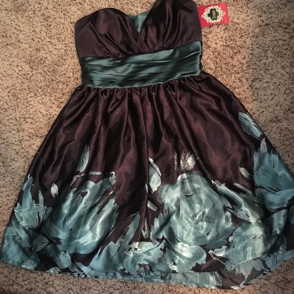 NWT Special occasion cocktail dress