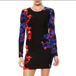 Parker Long Sleeve bodycon dress