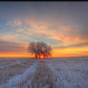 Meet your Posher, Ellie