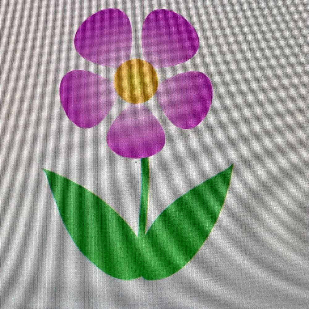 Meet your Posher, Opal