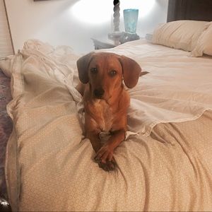 Meet your Posher, Joanie