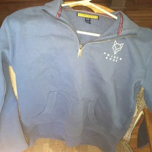 Prince and fox sweater