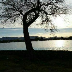 Meet your Posher, Am