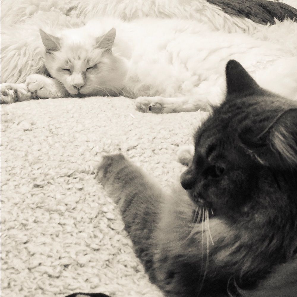 We are looking for offers!