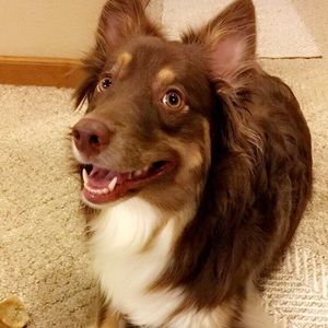 Meet your Posher, Brooke