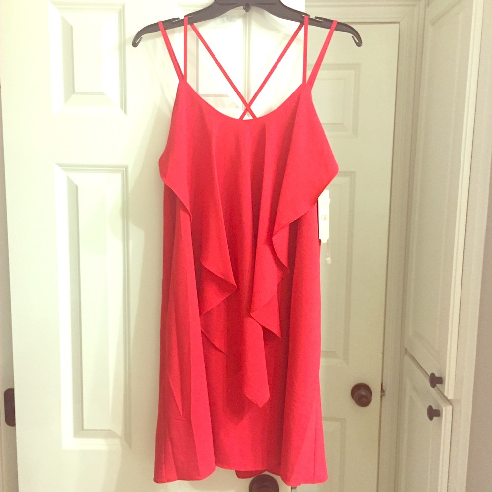 NWT Gianni Bini Dress with Front Ruffle