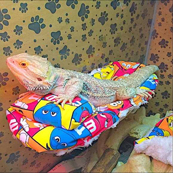 Bedding Mm Bearded Dragon Attachable Resting Bed Covers Poshmark