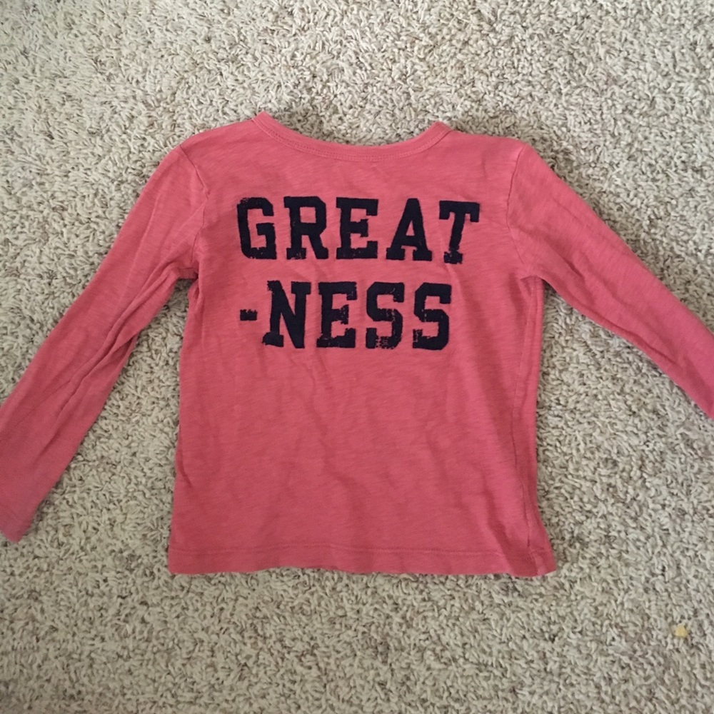 Crewcuts 3t Shirt