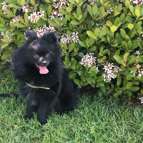 💓CLOSET INFO💓 ! Shop with confidence ! - Picture 5 of 6