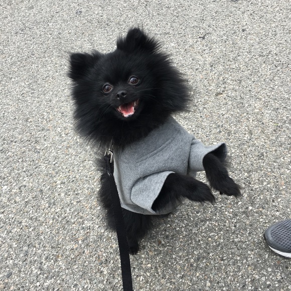 💓CLOSET INFO💓 ! Shop with confidence ! - Picture 3 of 6