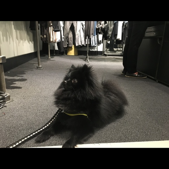 💓CLOSET INFO💓 ! Shop with confidence ! - Picture 6 of 6