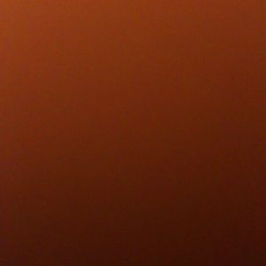 Meet your Posher, Karina