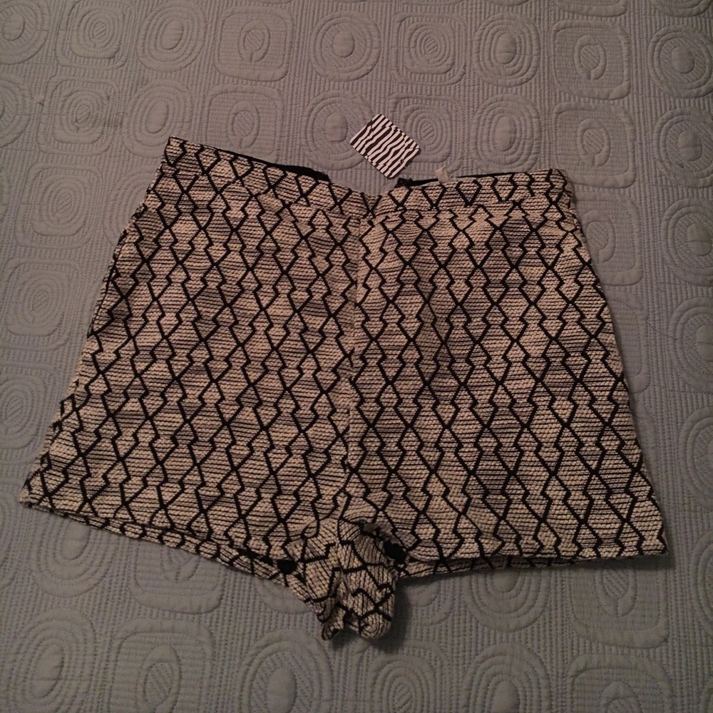 Lucca Couture brand new high waisted shorts- size6