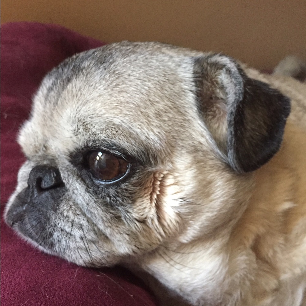 Meet your Posher, Char